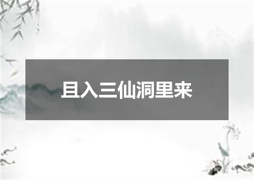 且入三仙洞里来