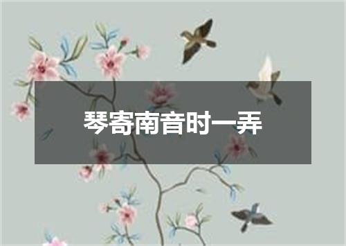 琴寄南音时一弄