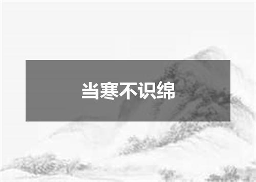 当寒不识绵