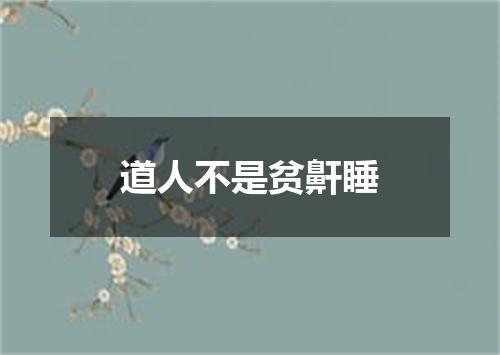 道人不是贫鼾睡