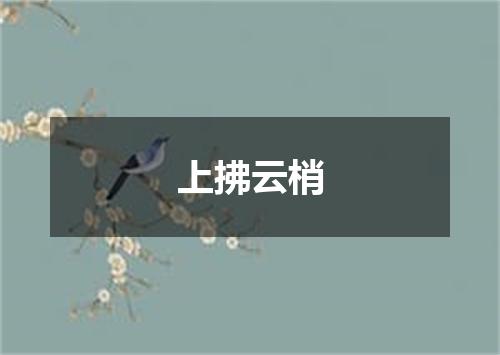 上拂云梢