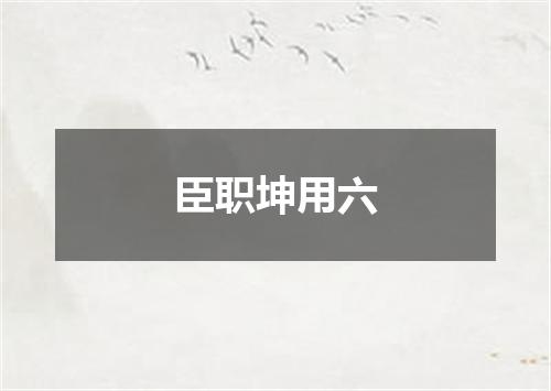 臣职坤用六