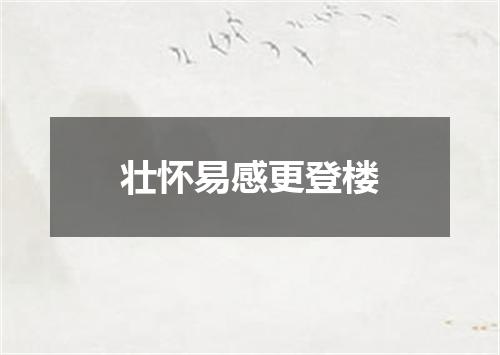 壮怀易感更登楼