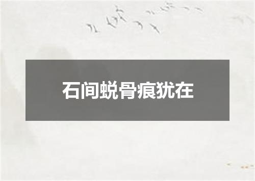 石间蜕骨痕犹在