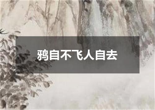 鸦自不飞人自去