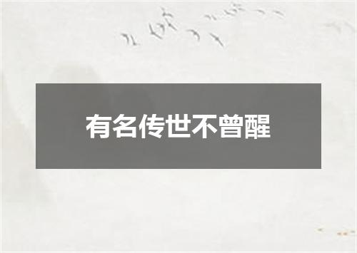 有名传世不曾醒