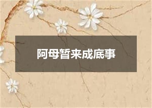 阿母暂来成底事