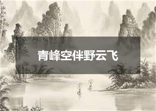 青峰空伴野云飞
