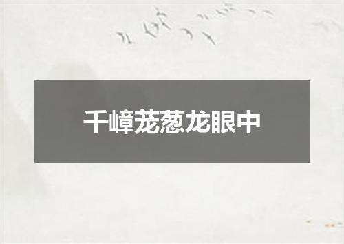 千嶂茏葱龙眼中