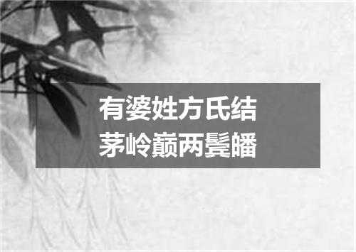 有婆姓方氏结茅岭巅两鬓皤