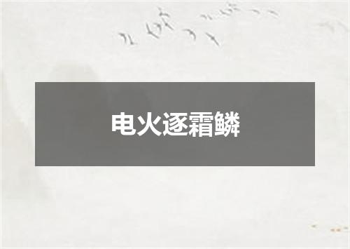 电火逐霜鳞