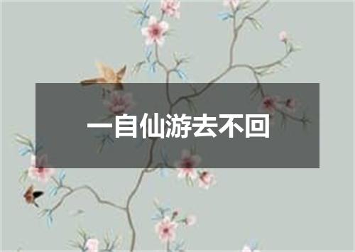 一自仙游去不回