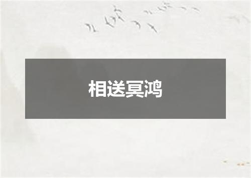 相送冥鸿