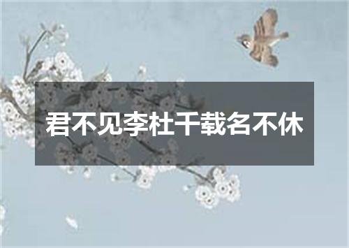 君不见李杜千载名不休