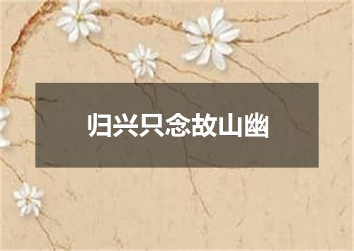 归兴只念故山幽