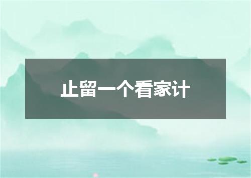 止留一个看家计