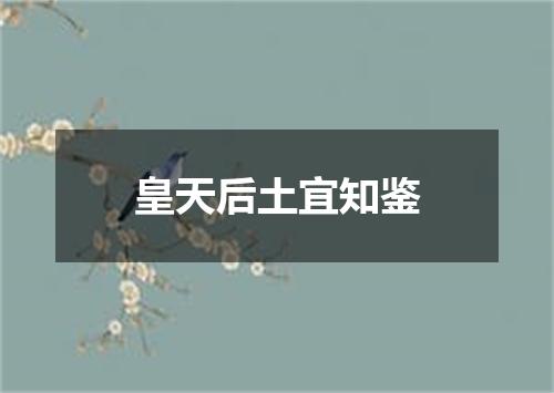 皇天后土宜知鉴
