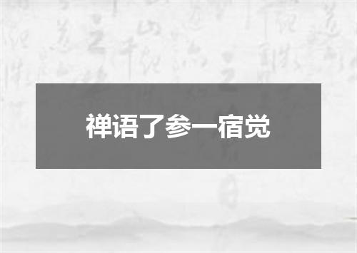 禅语了参一宿觉