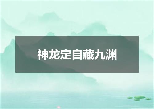 神龙定自藏九渊
