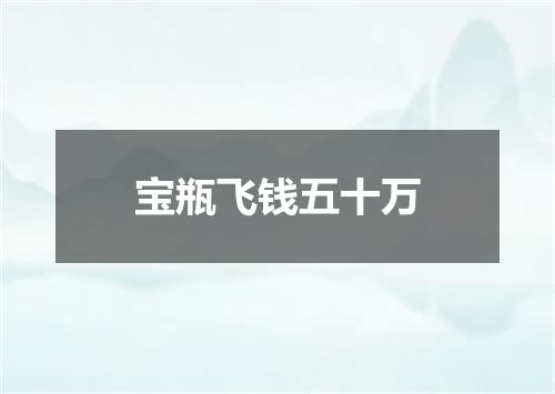 宝瓶飞钱五十万