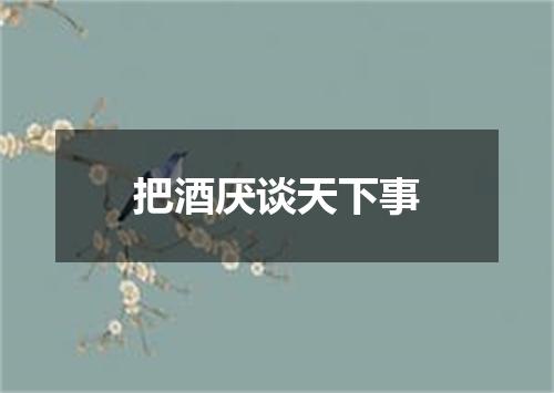 把酒厌谈天下事
