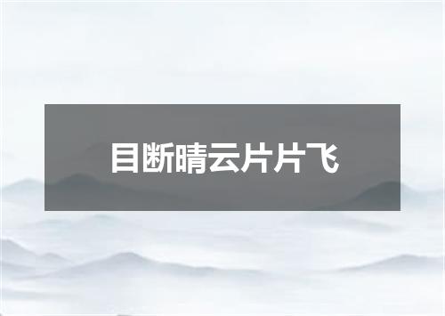 目断晴云片片飞