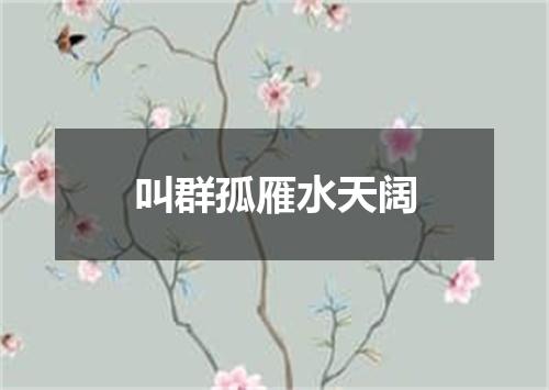叫群孤雁水天阔