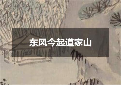 东风今起道家山