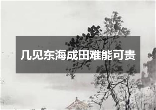 几见东海成田难能可贵