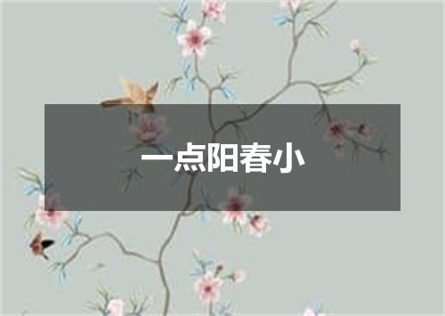 一点阳春小