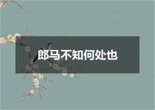郎马不知何处也