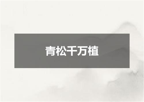 青松千万植