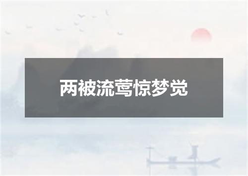两被流莺惊梦觉