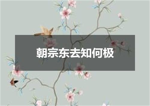 朝宗东去知何极