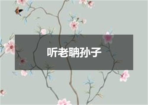 听老聃孙子