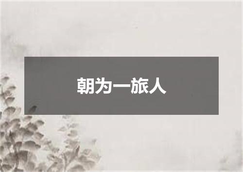 朝为一旅人