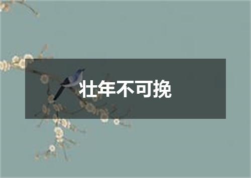 壮年不可挽