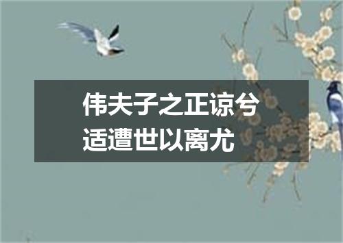伟夫子之正谅兮适遭世以离尤