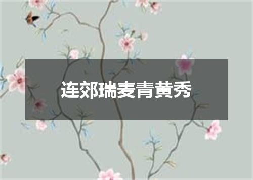 连郊瑞麦青黄秀