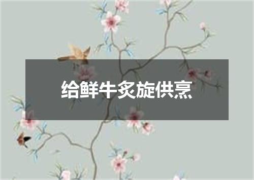 给鲜牛炙旋供烹