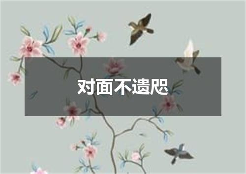 对面不遗咫