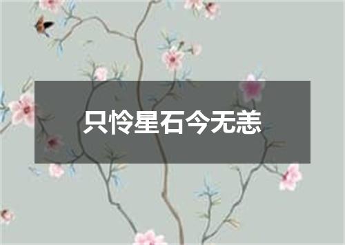 只怜星石今无恙