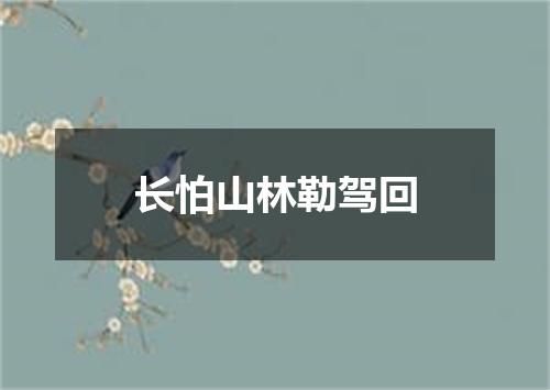 长怕山林勒驾回