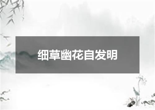 细草幽花自发明