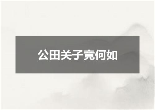 公田关子竟何如