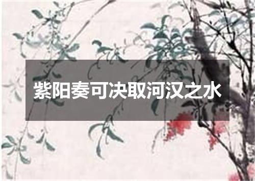紫阳奏可决取河汉之水