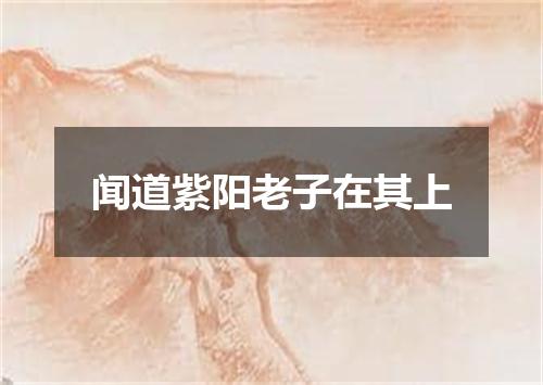 闻道紫阳老子在其上