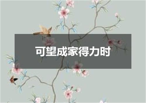 可望成家得力时