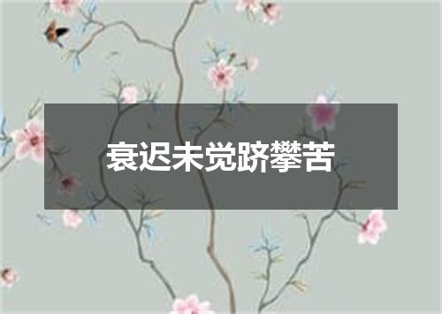 衰迟未觉跻攀苦