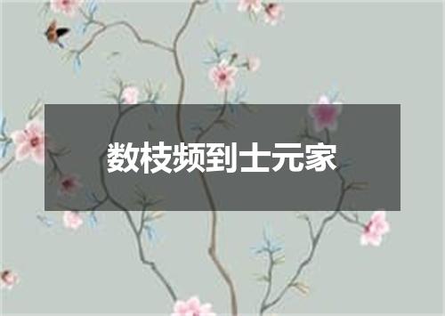 数枝频到士元家